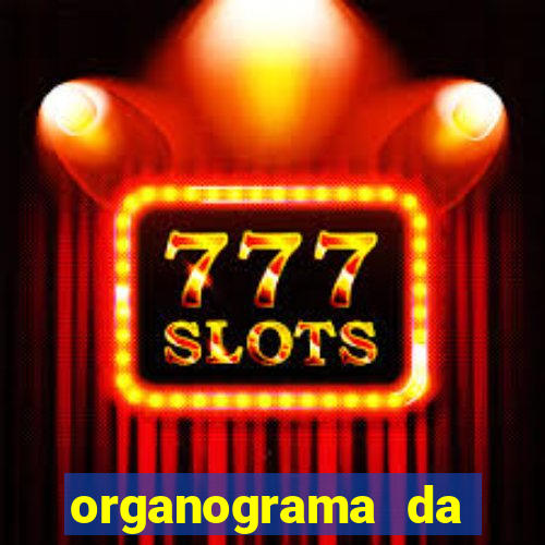 organograma da cacau show